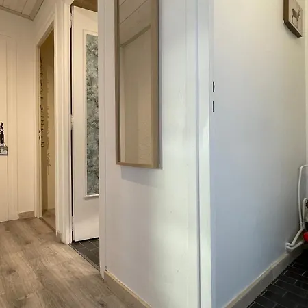 Homency - Les Gemeaux A5 *